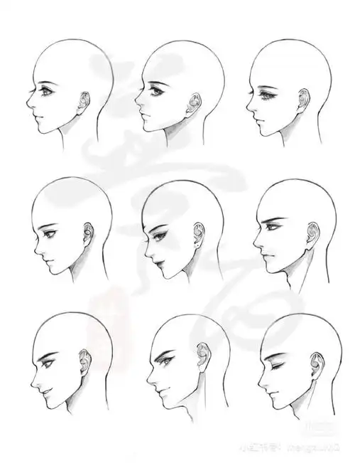 绘画参考##五官参考