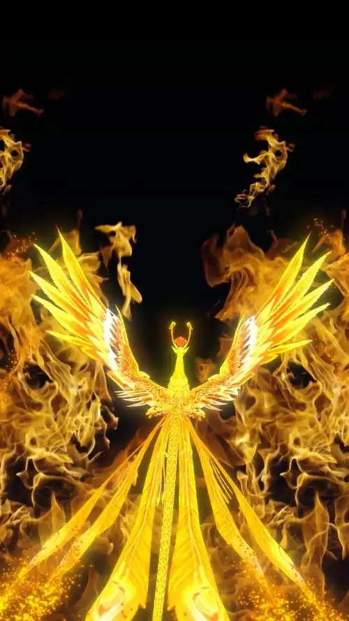 凤凰cg3d动画特效-牛片网