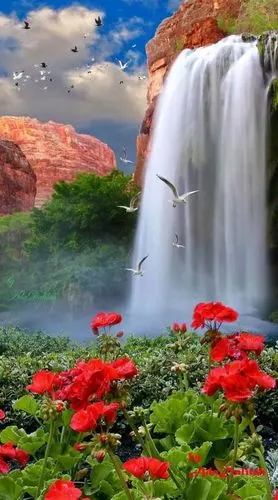 高山流水,鸟语花香.