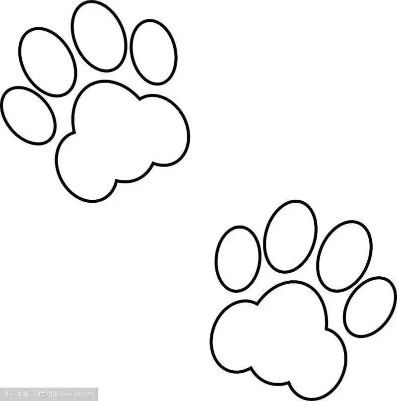 黑色的动物足迹