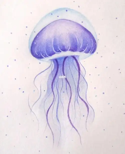 蓝紫色太好看了是彩铅水母鸭