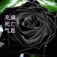 充满死亡气息的图片_微信头像图片大全