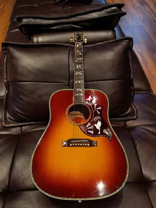 飞鸟吉他博物馆  #gibson  #吉他  #蜂鸟 #超级