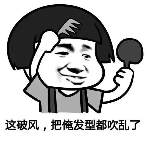 这破风把俺发型都吹乱了