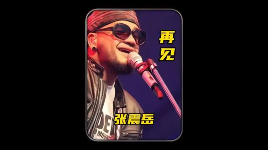 张震岳 再见