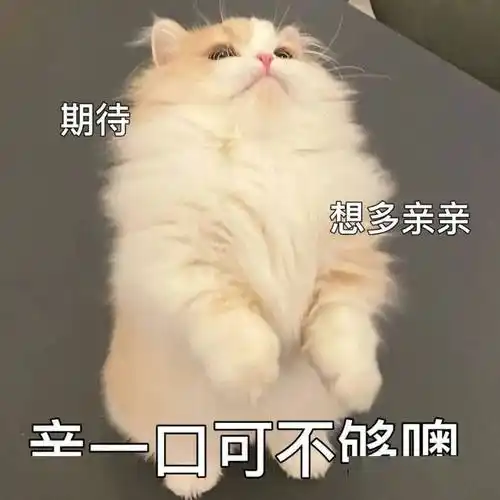 污污瑟瑟撩人色色表情包