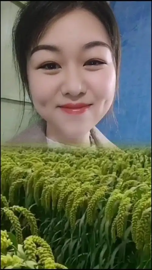 秋秋_秋秋个人资料_秋秋直播间_18183kol_18183网红站