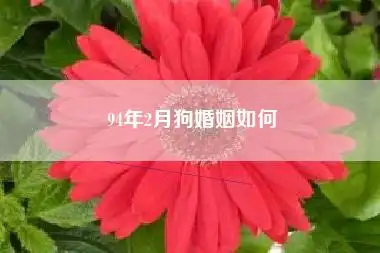 94年狗和93鸡的婚姻如何-哎呦星座网