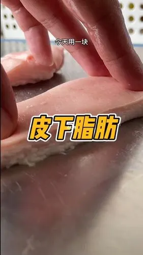 科普一下:什么叫皮下脂肪?_医疗健康_医疗健康其他