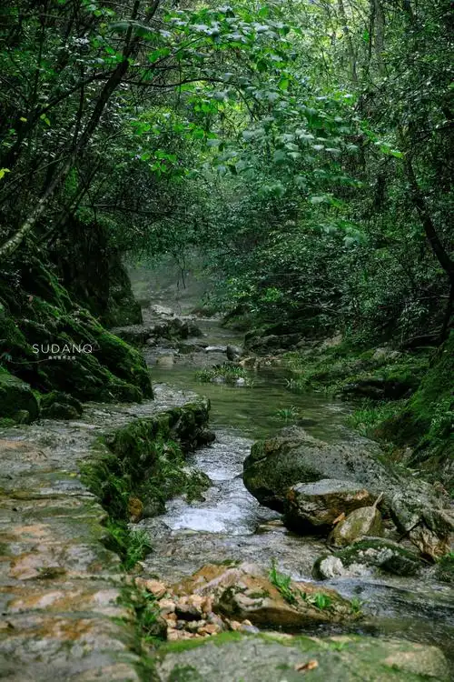 这是我迄今见过的最原始的自然风景区