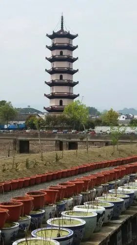 浙江省金华市武义县宏福巷靠近米兰春天概念酒店天气预报