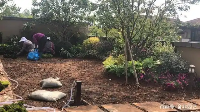 舍非园艺:10平方庭院花园一角微整改造,小区域营造大意境