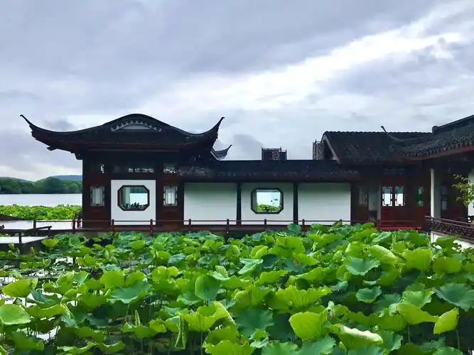 夏日的杭州 摄于2020.06.03曲院风荷,一公园,长桥景区