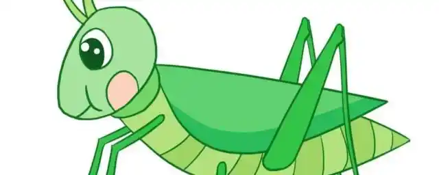 蝈蝈放在阳台不会被晒死吗 蝈蝈放在阳台会不会被晒死