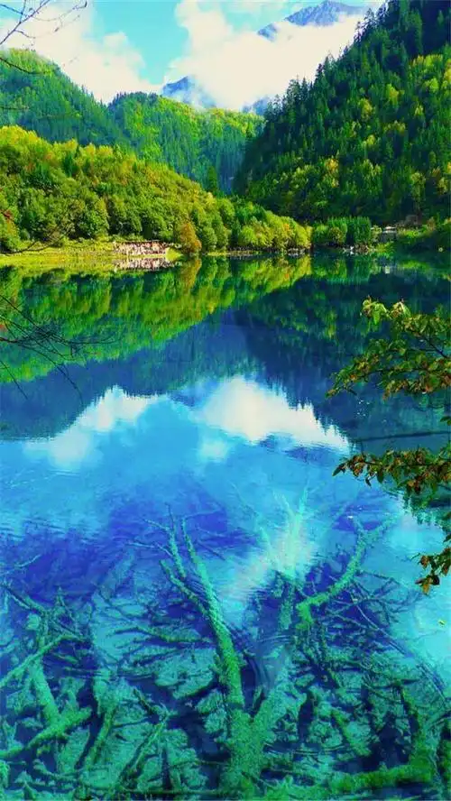 最美仙境(十八)