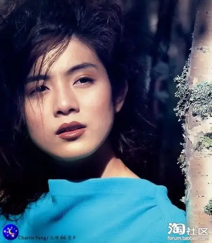 金城武的绯闻女友大全