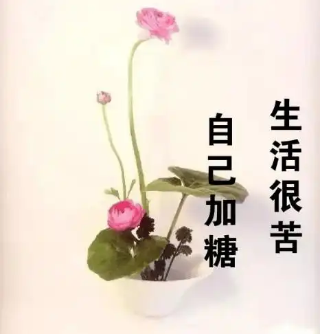 余生,致自己的一段心里话!