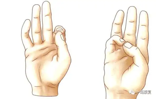 拇对掌拇内收外展拇屈伸腕的运动前臂旋前旋后肘屈伸肩水平伸展肩水平