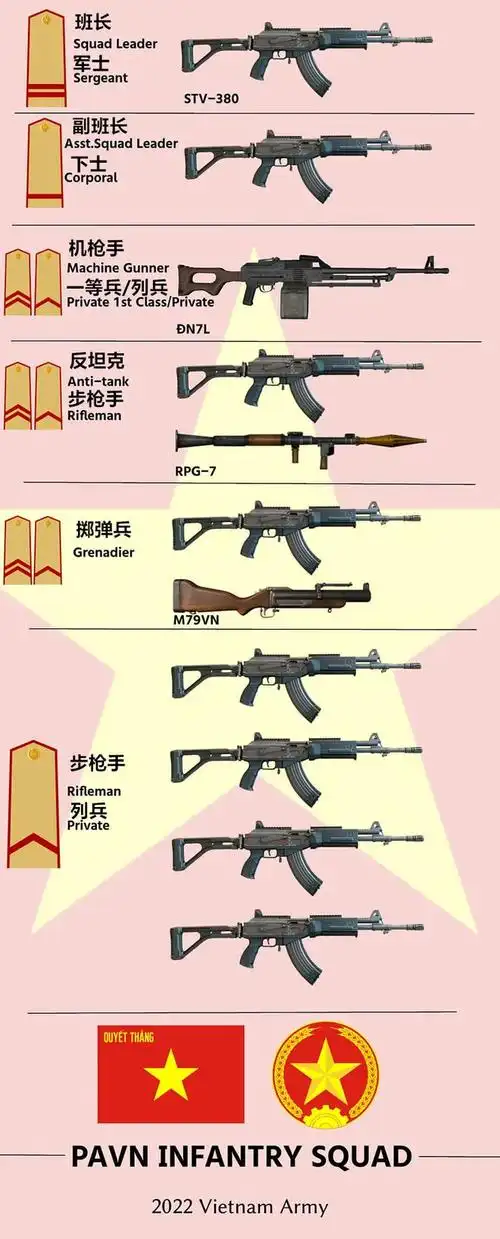 看越军的突击步枪