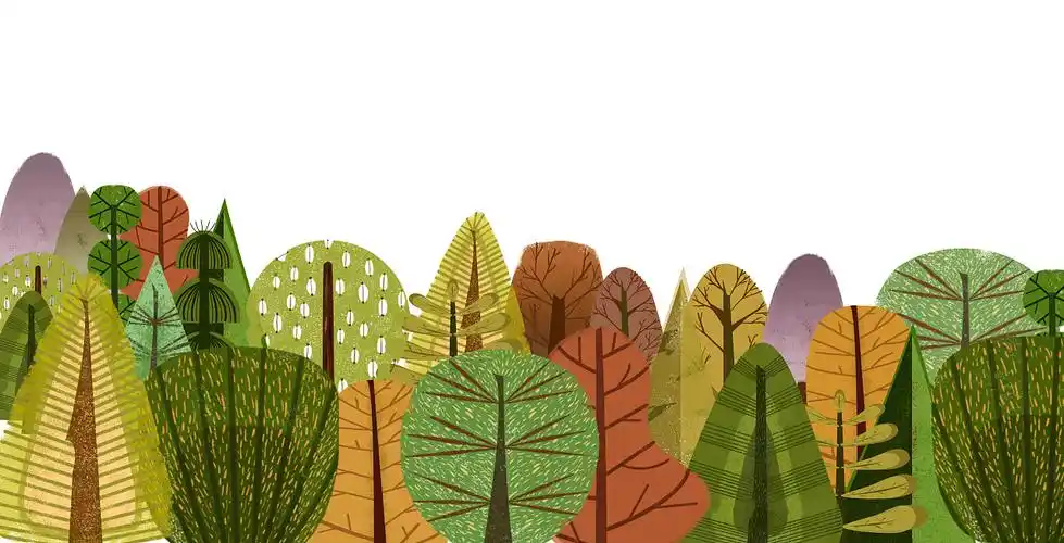 一片树林的过程|插画|儿童插画|崔泡泡o - 原创作品 - 站酷 (zcool)