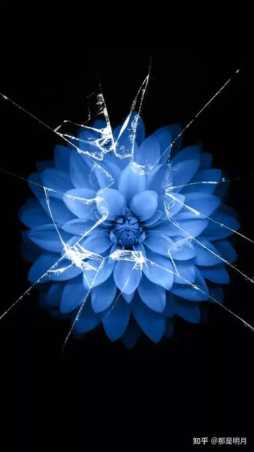 有没有看起来跟屏幕坏了一样的壁纸. - 知乎