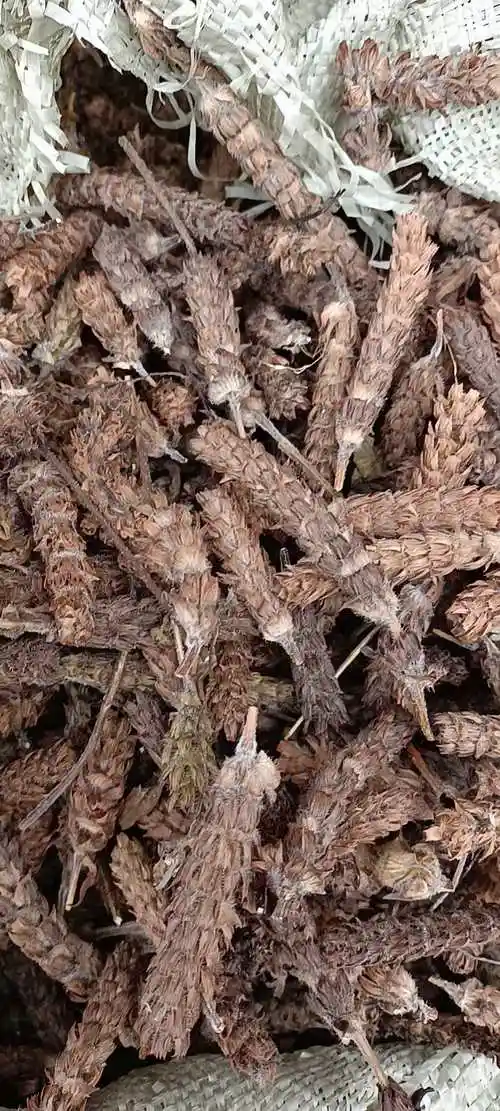 夏枯草 统货 河南