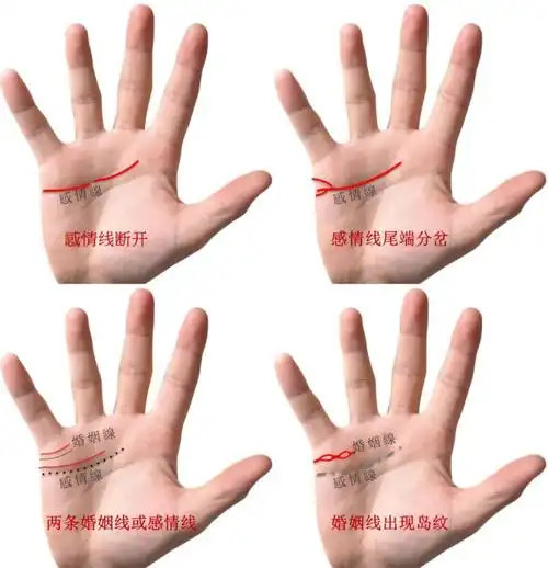 这样的手纹建议晚婚,可避免.【容易二婚手相】