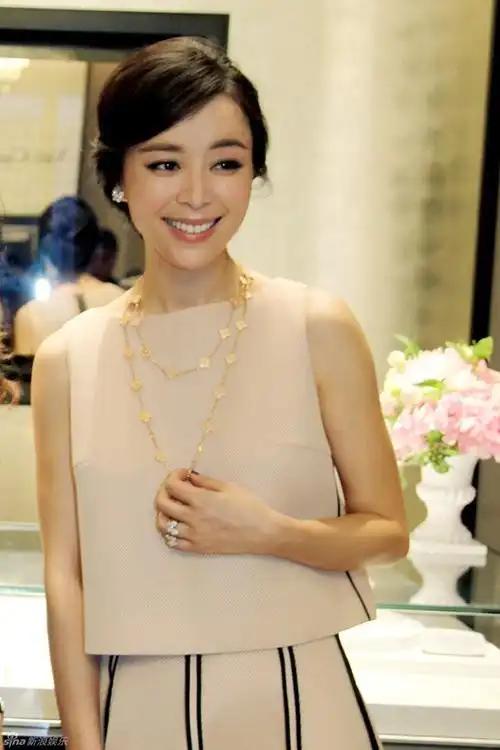 张静初个人资料简介(42岁的张静初落到无戏可拍)(25)