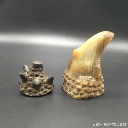 老犀牛角价值如何