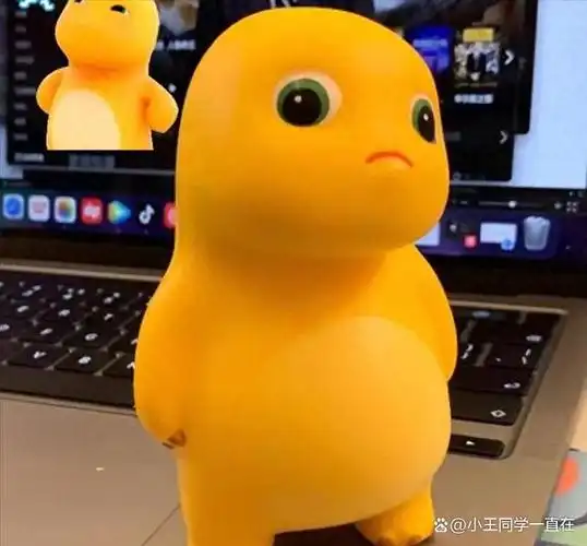 挤压玩具("慢回弹玩具")是使用泡沫制成的玩具,受到挤压会慢慢恢复成