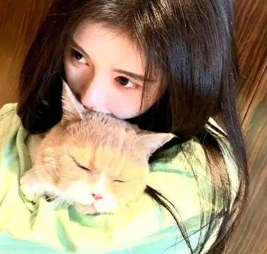 鞠婧祎#真的很像一只精致漂亮,乖巧可爱的小猫啊