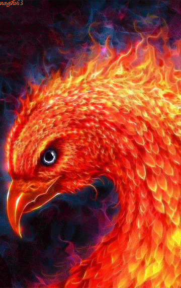 t-手机 dash t-手机 dash 屏保 fiery phoenix 分享 举报 非索要文件