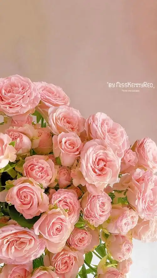 1%电量也要换的壁纸#屏保该换了系列 #欢迎取图 #每一帧都 - 抖音