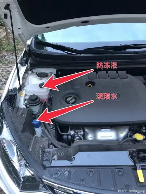 【无锡长安车友会】科普一下玻璃水和防冻液的位置