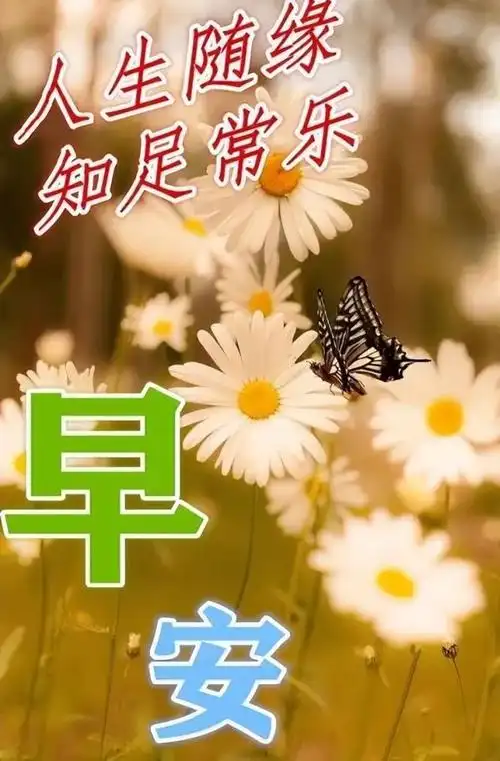星期四最新不用打字就可以聊天的早安早上好图片 9张创意唯美春日早上