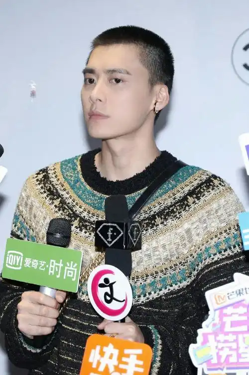 挑战每天按相册顺序发一张李易峰的照片