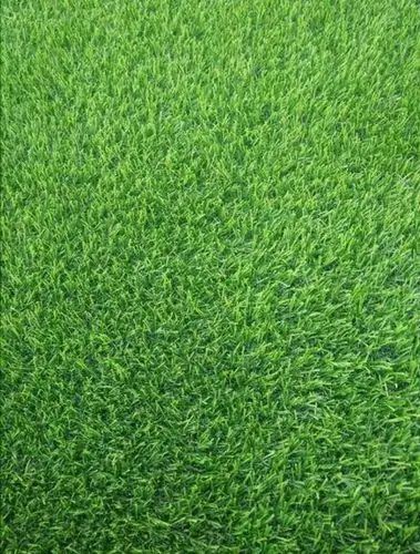 高清微信护眼图