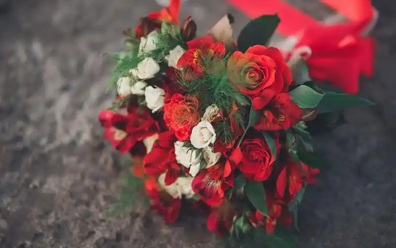 清新捧花图片电脑高清桌面壁纸