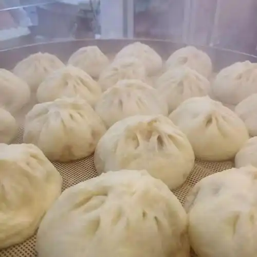 河南特产纯手工大包子8个牛肉韭菜粉条槐花包点