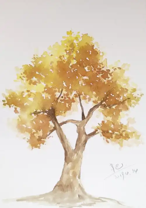 一组秋树手绘水彩大树
