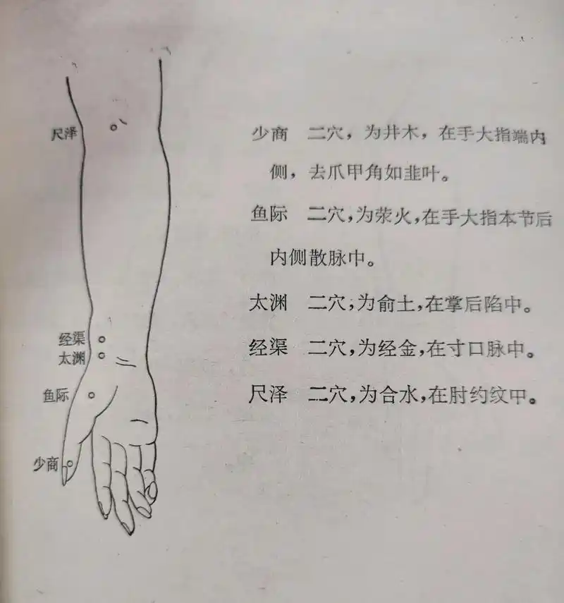 手太阴肺经穴图