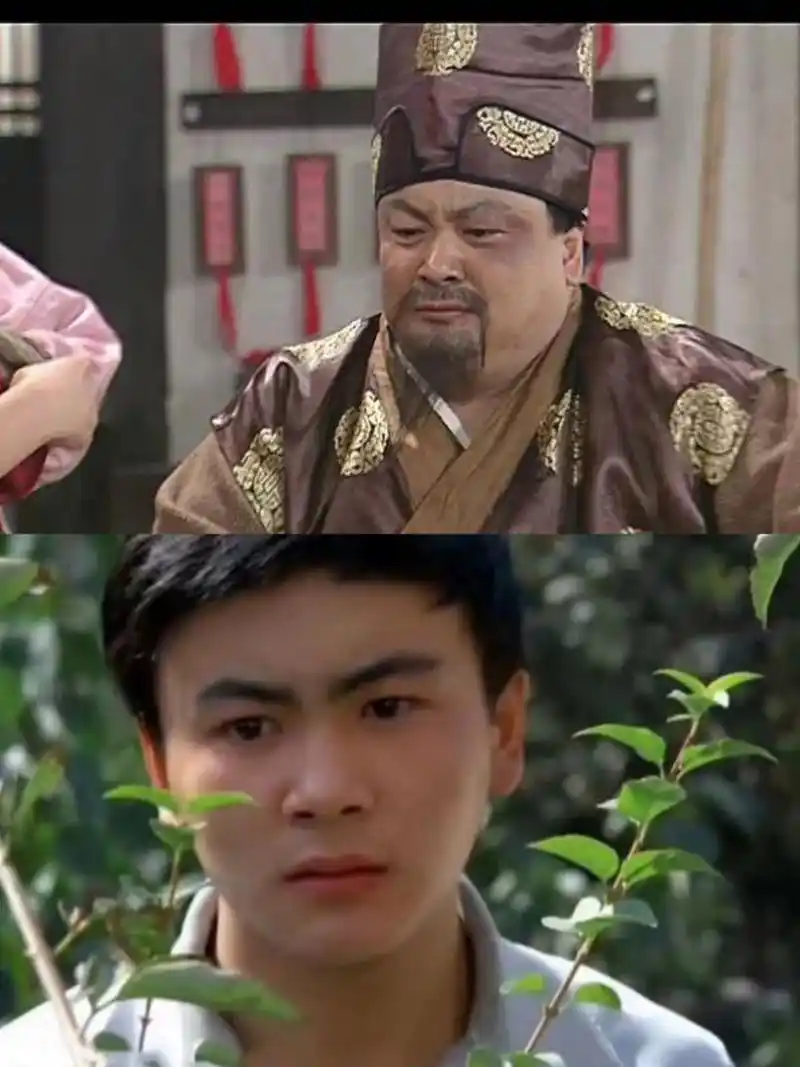 洪剑涛曾经也是军艺校草,而且还当过贾宝玉候选人,不过落选原因是身高