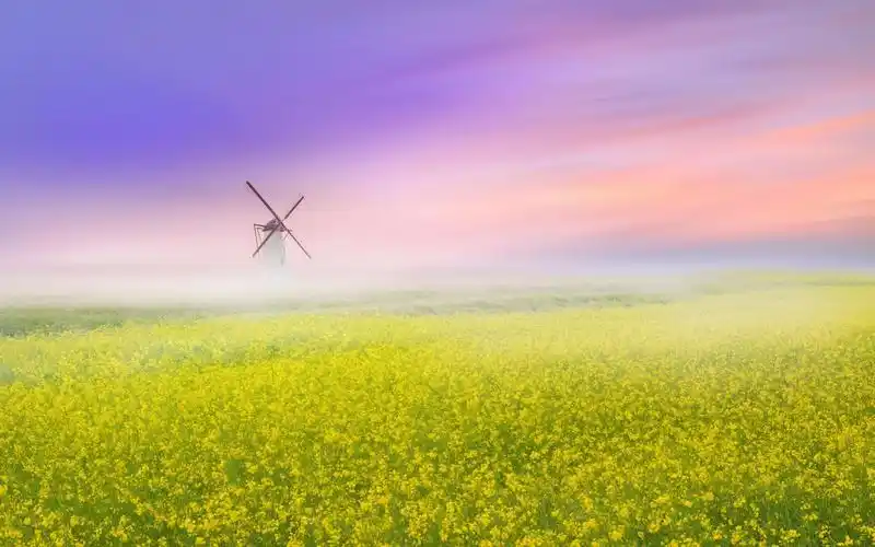 loudly os 11原神第二版,和win10版本差不多