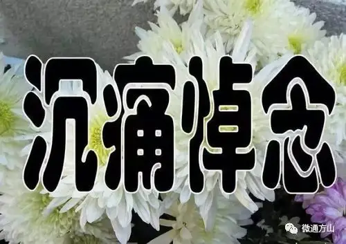 沉痛哀悼林祥先生挽联选登_小编