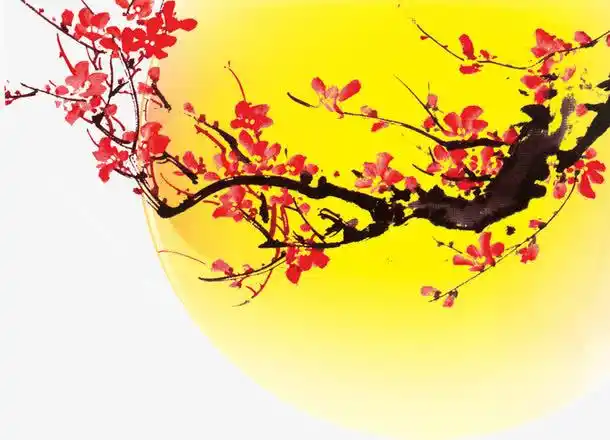 关键词 : 花好,月圆,满月,金色月亮,梅花