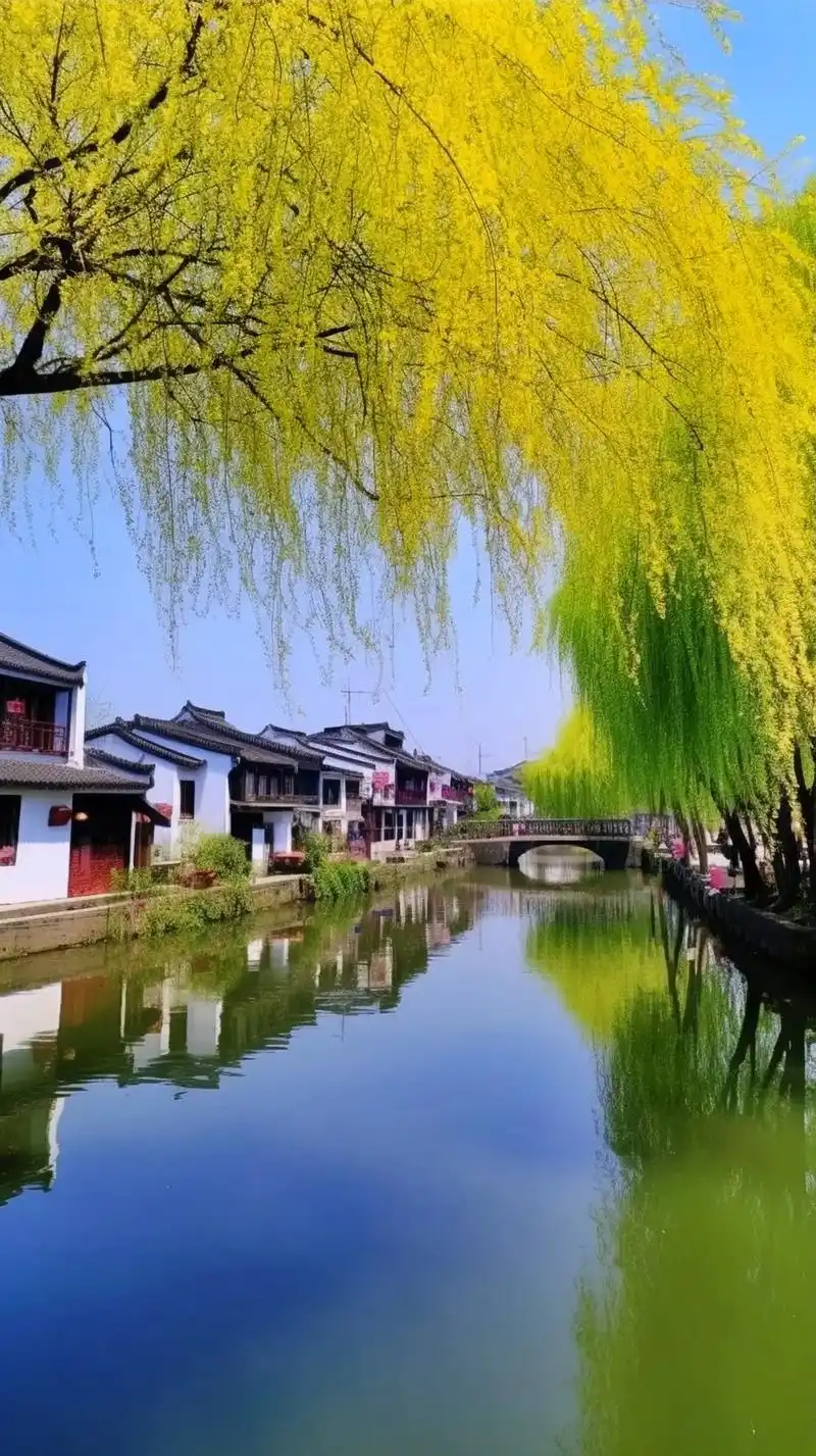 治愈系风景 #江南水乡美如画