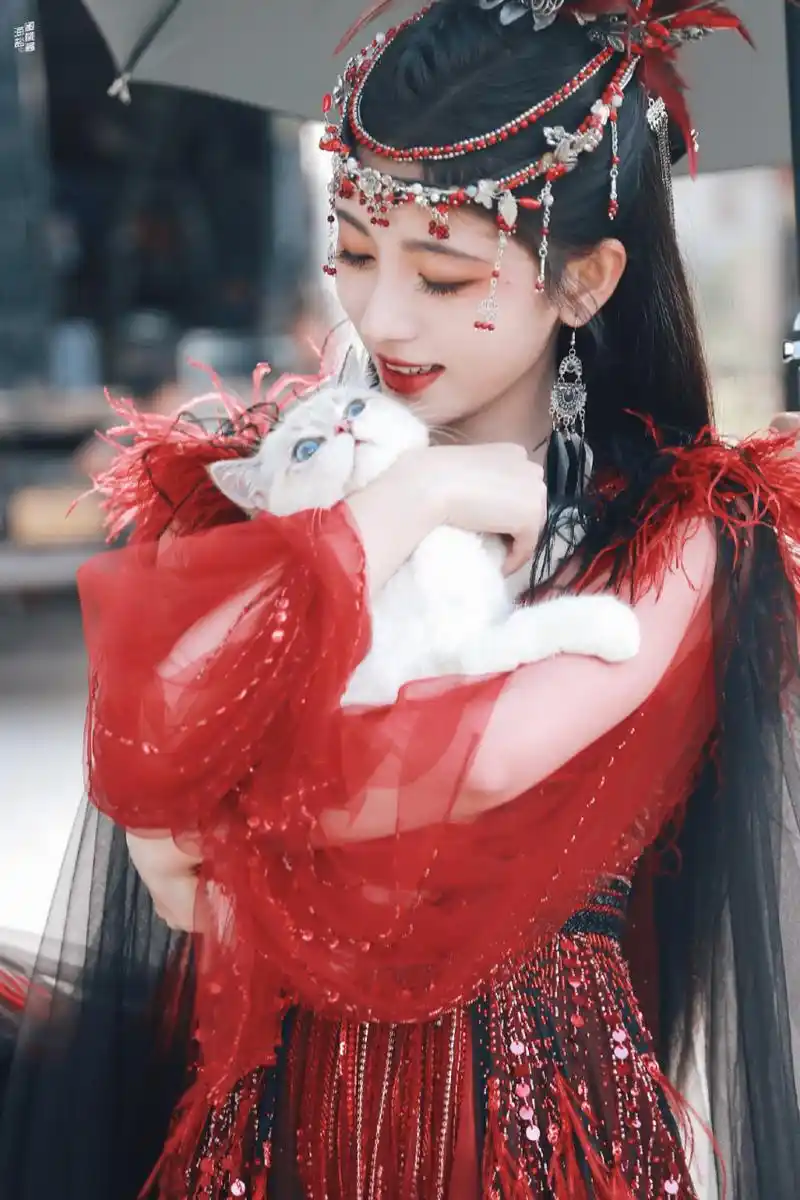 鞠婧祎花戎# 看到花戎上热搜了,兴冲冲点进去一看发现不是要开播,等