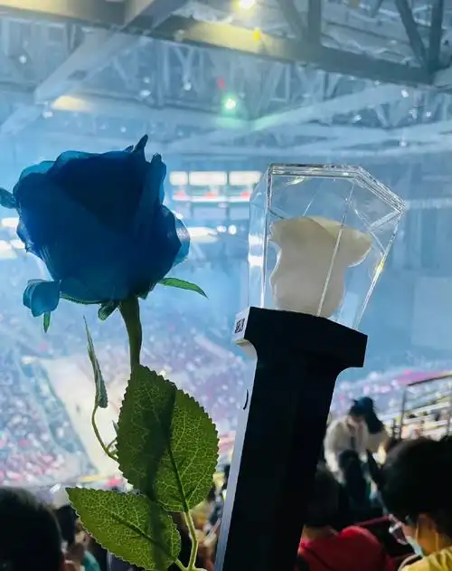 蔡徐坤演唱会蓝玫瑰应援棒##蔡徐坤澳门演唱会开票