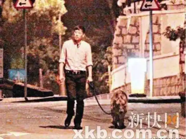 人人都爱张国荣,可唐鹤德才是那个完美先生