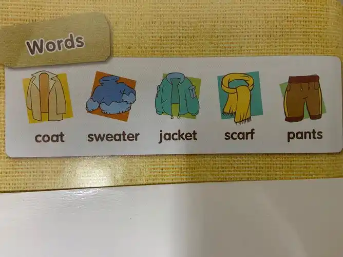 words: coat 外套 sweater毛衣 jacket夹克衫 scarf围巾 pants裤子